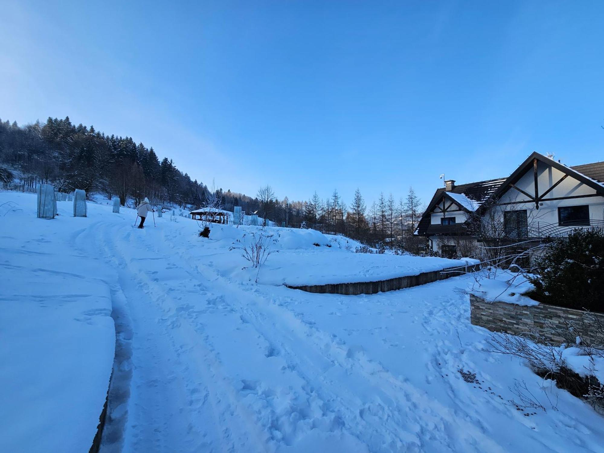 Bed and Breakfast Otulina Park Szczawnica Exterior foto