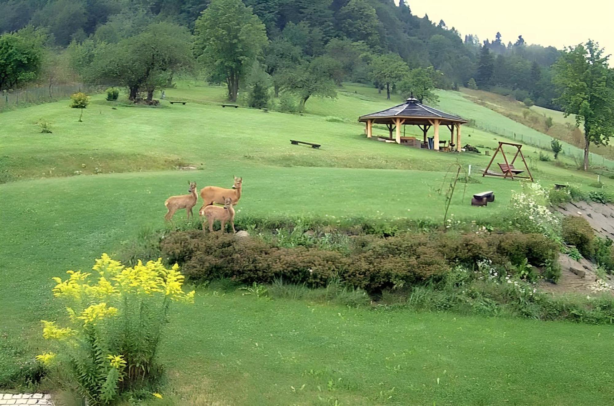 Bed and Breakfast Otulina Park Szczawnica Exterior foto