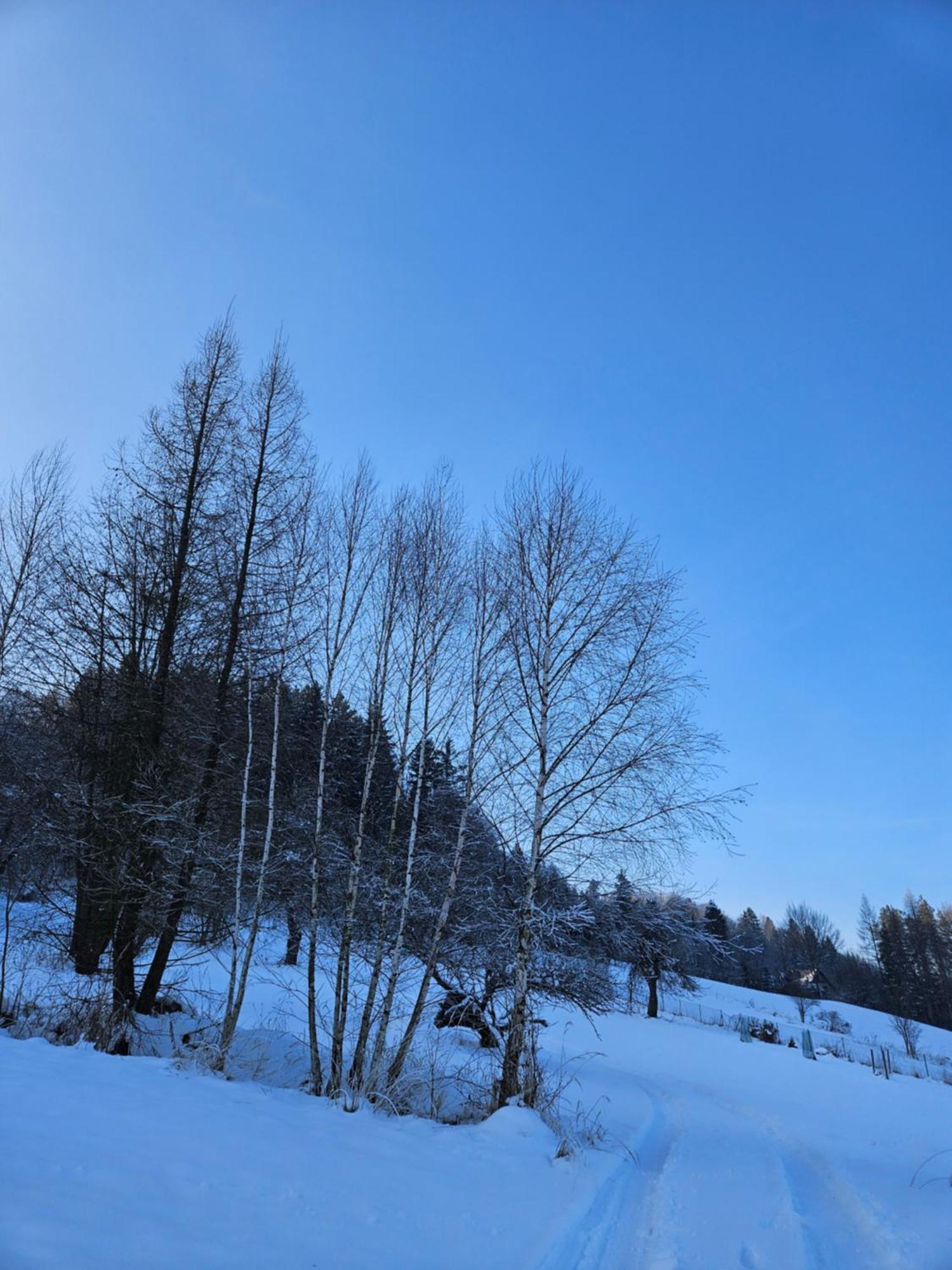 Bed and Breakfast Otulina Park Szczawnica Exterior foto