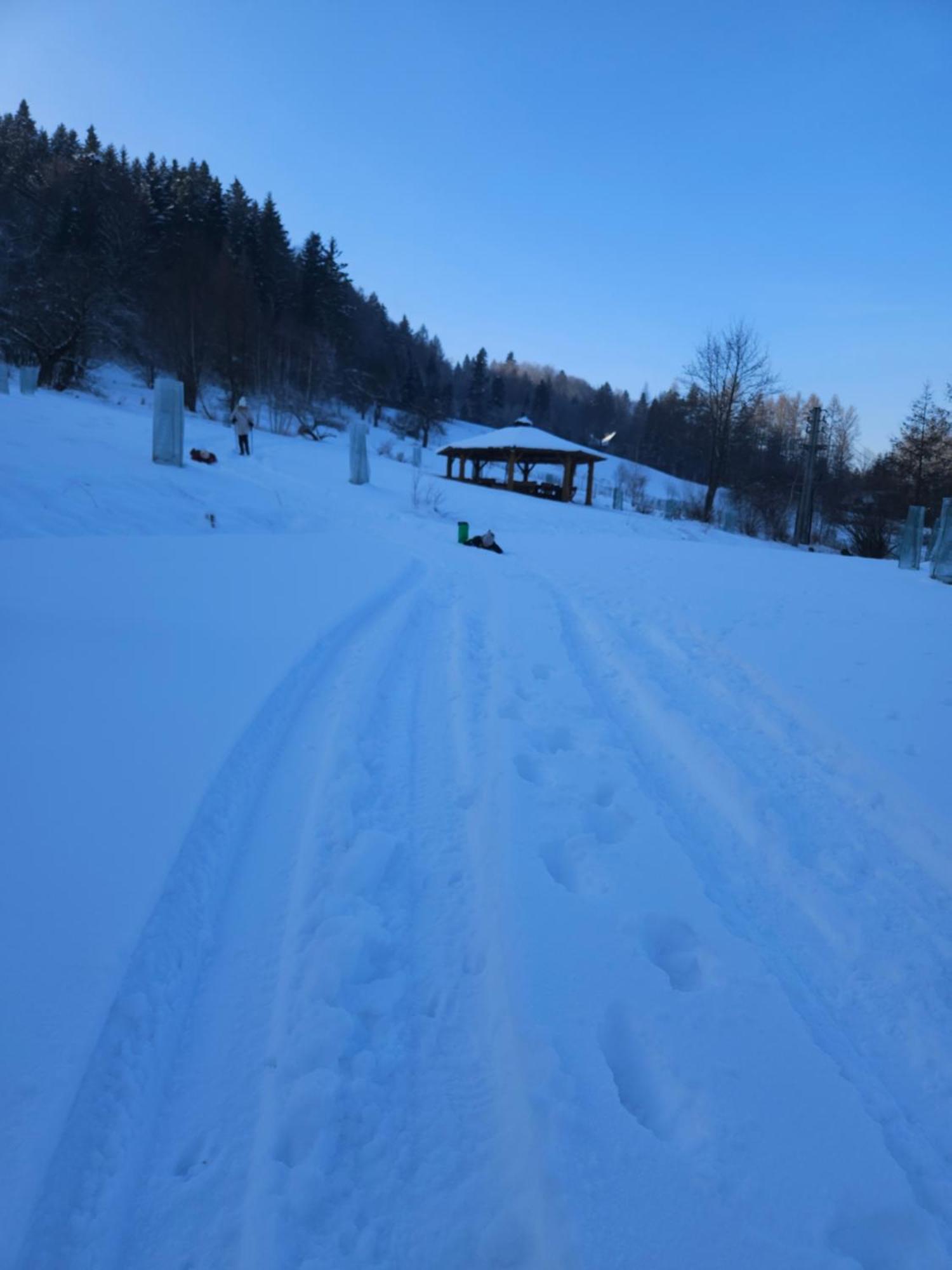 Bed and Breakfast Otulina Park Szczawnica Exterior foto